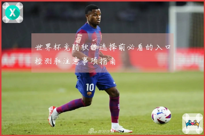 世界杯竞猜软件选择前必看的入口检测和注意事项指南