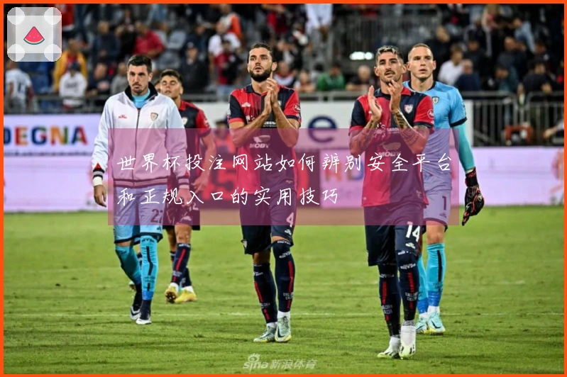 世界杯投注网站如何辨别安全平台和正规入口的实用技巧