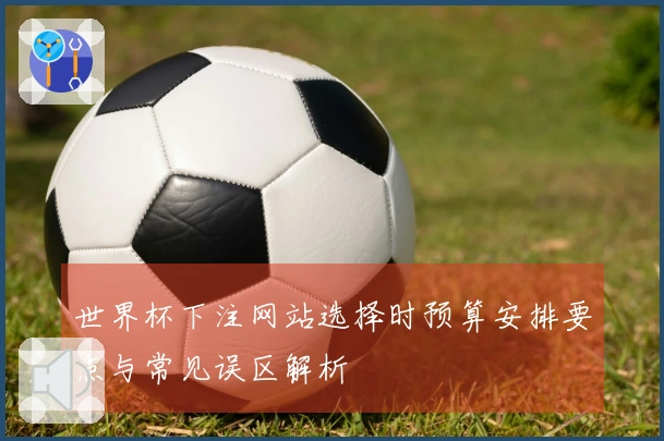 世界杯下注网站选择时预算安排要点与常见误区解析