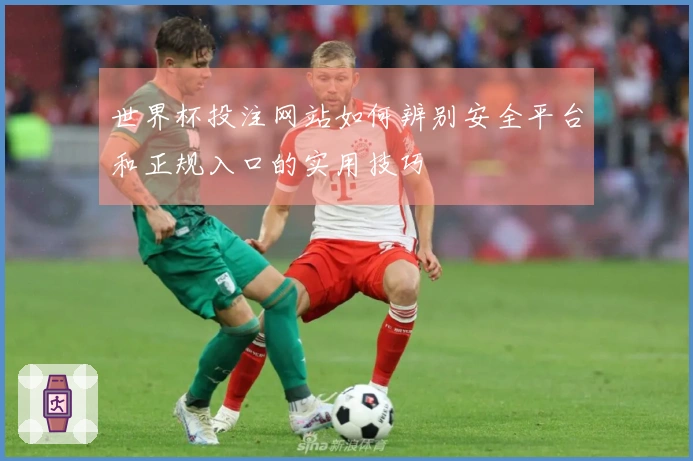 世界杯投注网站如何辨别安全平台和正规入口的实用技巧