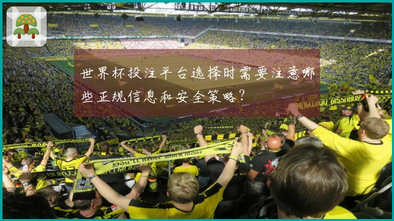 世界杯投注平台选择时需要注意哪些正规信息和安全策略？