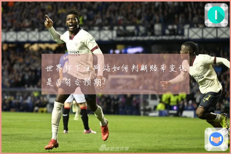 世界杯下注网站如何判断赔率变化是否符合预期？