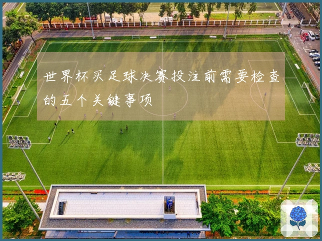 世界杯买足球决赛投注前需要检查的五个关键事项