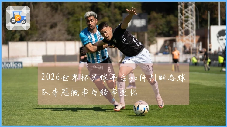 2026世界杯买球平台如何判断各球队夺冠概率与赔率变化